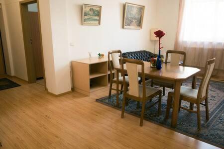 Town Hall 3 Bedroom Apartment VNO Eksteriør bilde